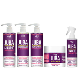 Kit Widi Care Juba Transição - Shampoo + Condicionador + Creme de Pentear Leve + Máscara + Tônico 120ml