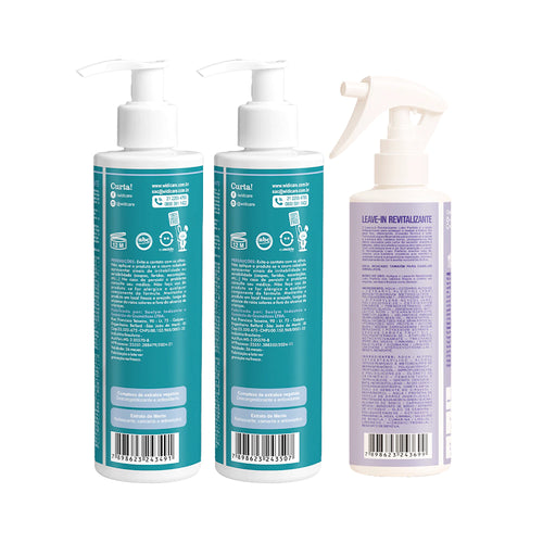 Kit Widi Care Detox Leave In Loiro Perfeito